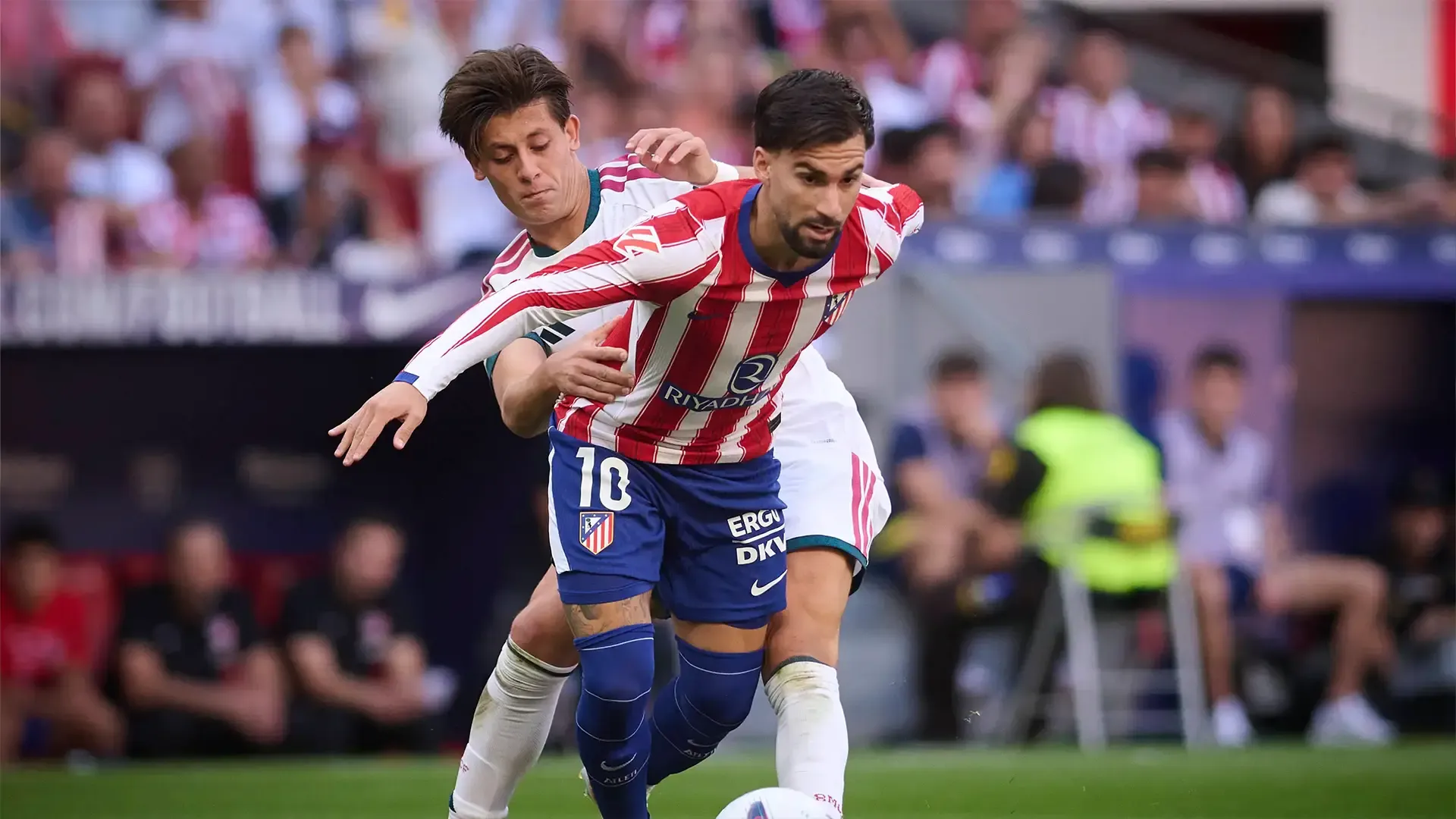 arda2.webp